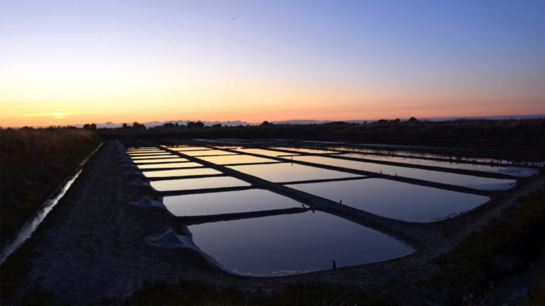 rivesaline home slide