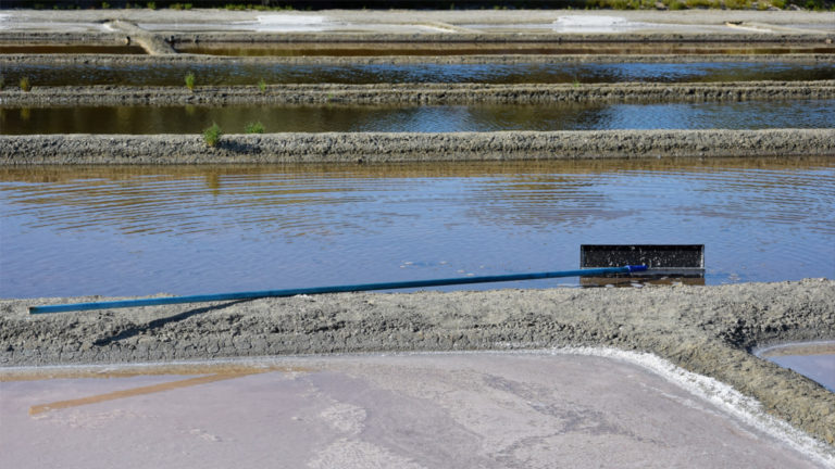 rivesaline home slide