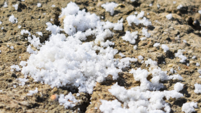 rivesaline home slide